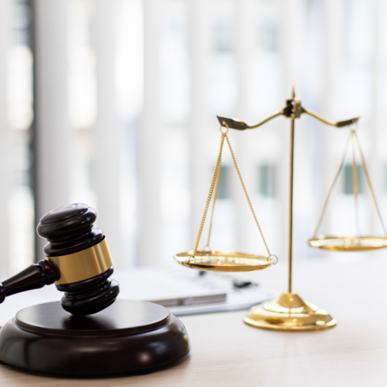 EU Pharma Legislation Proposal Rapporteurs Opinion