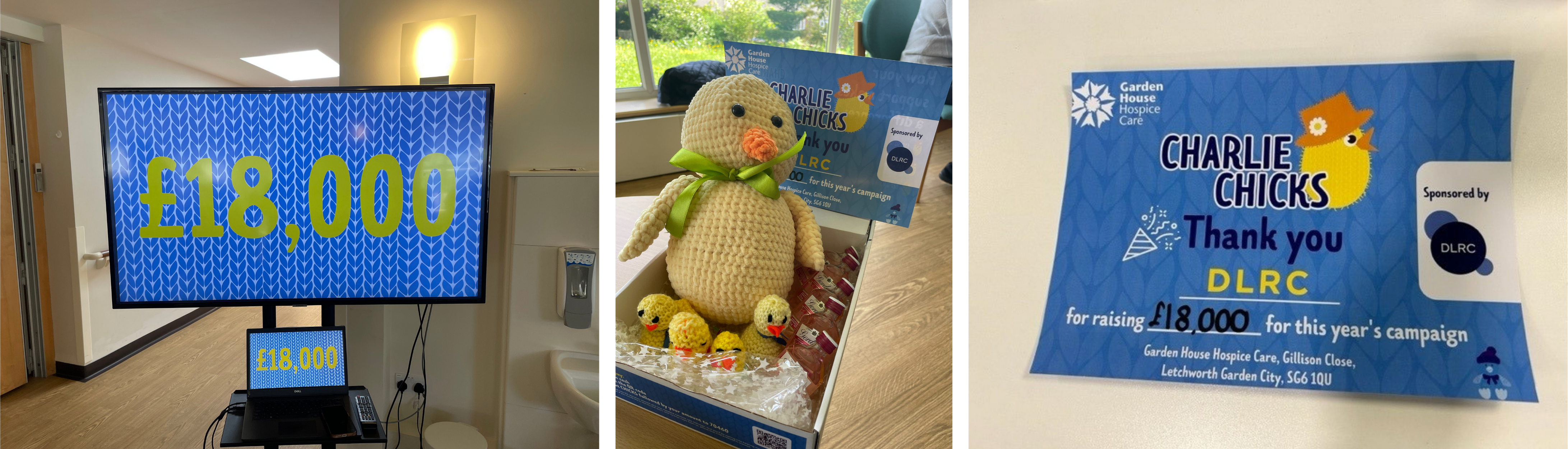 Charity wrap up 2023 Charlie Chicks