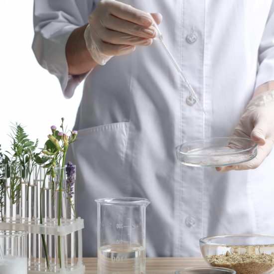 Navigating Herbal Medicinal Products Understanding EMA Guidelines