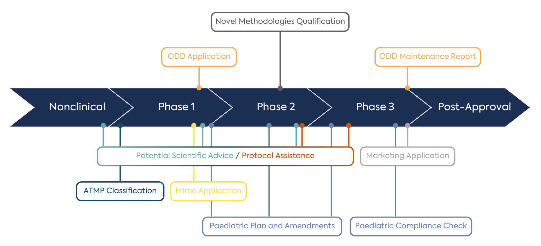 Rare Disease Day: Regulatory Challenges in Rare Disease Drug Development. Figure 1 – Potential interactions with the European Medicines Agency for a novel orphan drug during development