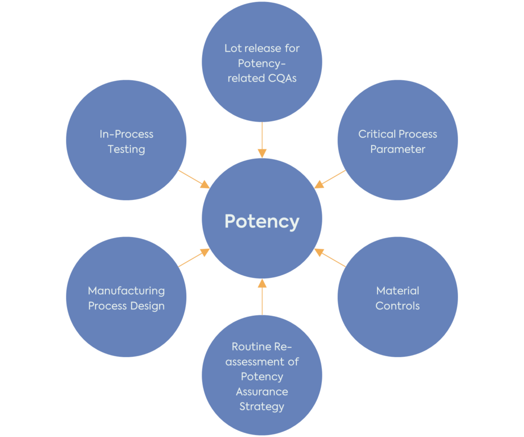Potency of Cell and Gene Medicinal Products: Understanding the impact of the new FDA guideline.