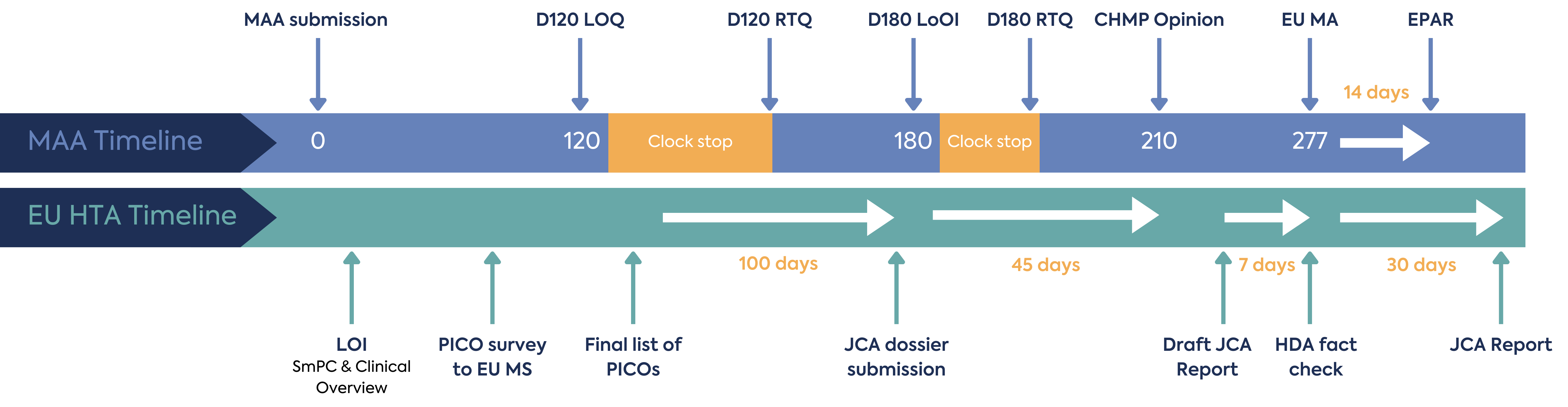 MA HTA timeline v2