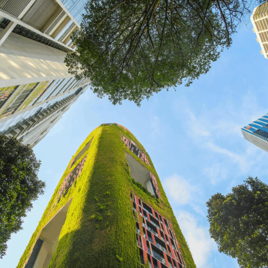 Sustainable Impact Report 2024