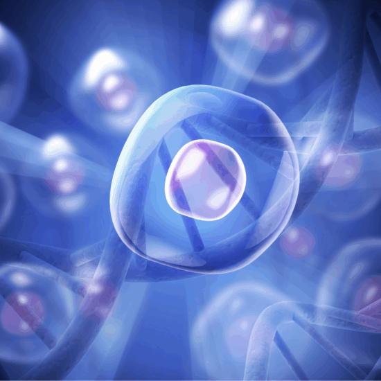 Strategic Support for a CTMP: Navigating EU Regulatory Filings